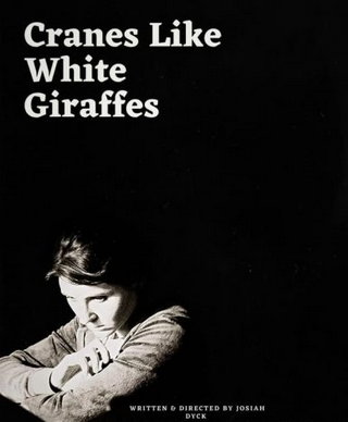 Cranes Like White Giraffes short film