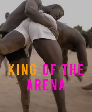 King of the Arena