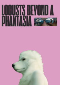 Locusts Beyond A Phantasia short film