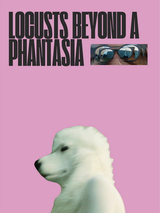 Locusts Beyond A Phantasia short film