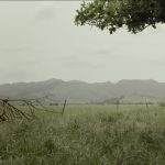 A Love Story Short Film