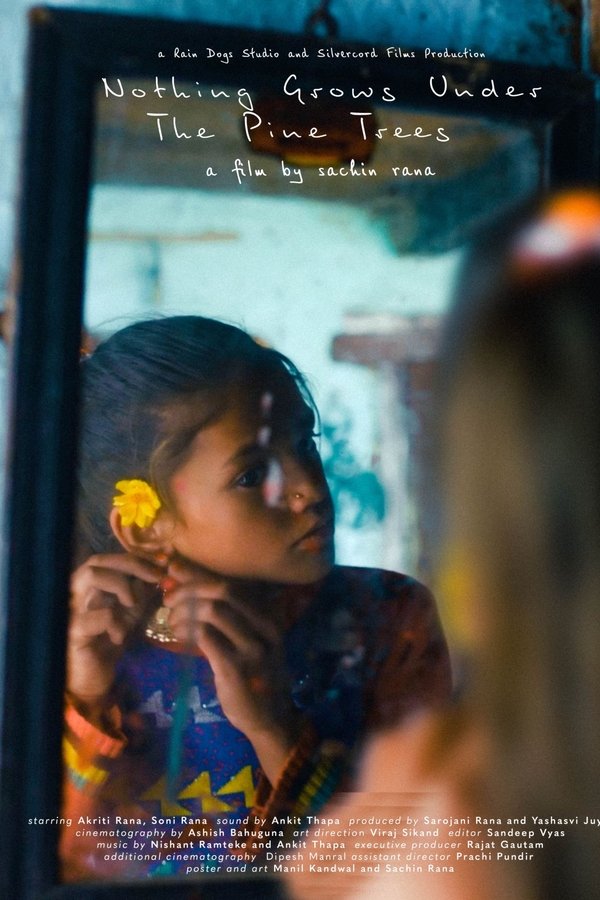 Nothing grows under the pine trees