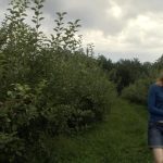 The Pond short film