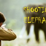 Shooting an Elephant short film