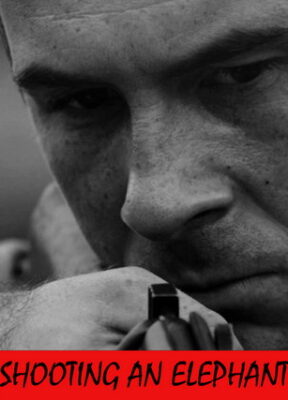 Shooting an Elephant short film