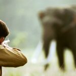 Shooting an Elephant short film