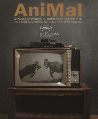 Animal short film