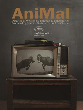 Animal short film