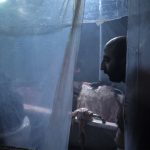 Animal short film
