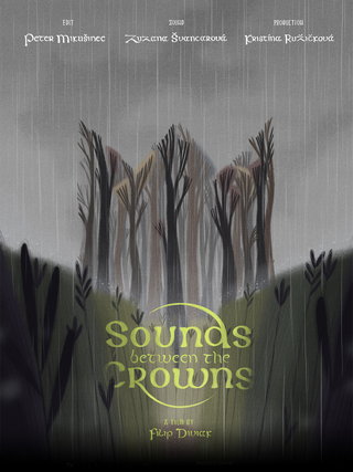 Sounds between the Crowns short film