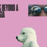 Locusts Beyond A Phantasia short film