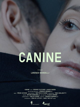 Canine short film