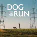 Dog Run short film