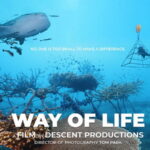 Way of life short film