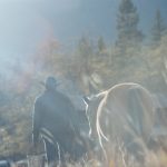 North Star short film