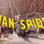 Man-Spider short film