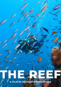 The Reef short film