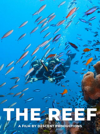 The Reef short film