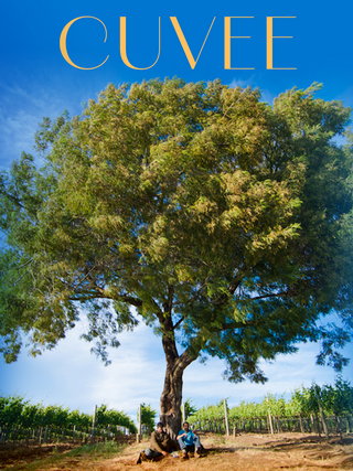 Cuvee, the short film