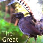 The Great Pretender. Short documentary film