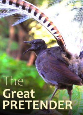 The Great Pretender. Short documentary film