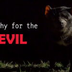 Sympathy for the Devil. Short documentary film