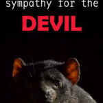 Sympathy for the Devil. Short documentary film
