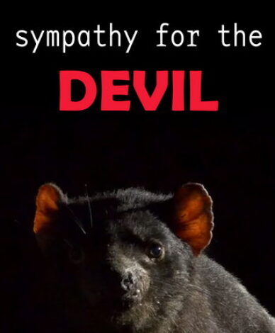 Sympathy for the Devil. Short documentary film
