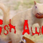 Wish Away. Short comedy film