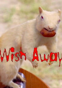 Wish Away. Short comedy film