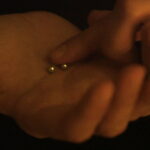 Murdereabillia. Short film