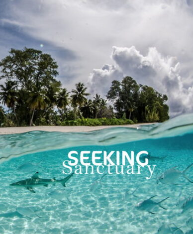 Seeking Sanctuary. Short film