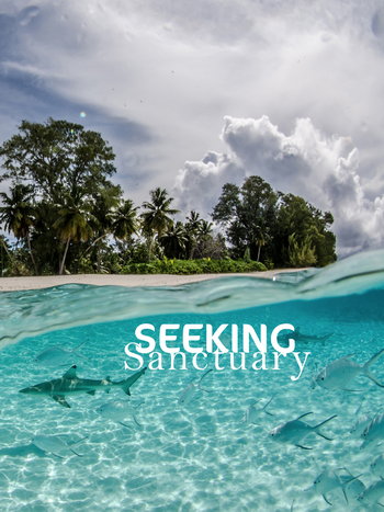 Seeking Sanctuary. Short film