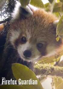 The Firefox Guardian. Short documentary