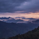 The Firefox Guardian. Short documentary