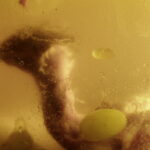 Inside you. Animation short film