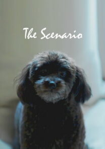 The scenario. Short film