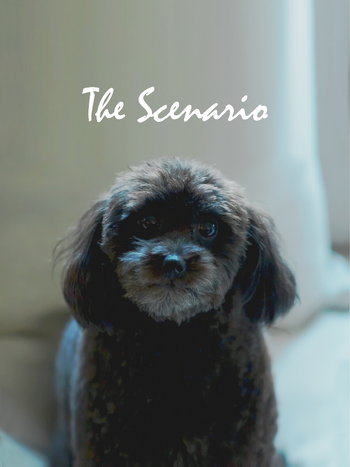 The scenario. Short film