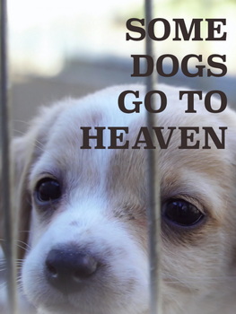 Some Dogs Go to Heaven. Short film