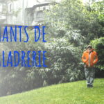 Songs next Door (Les Chants de la Maladrerie)