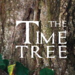 The Time Tree. Short fantasy drama