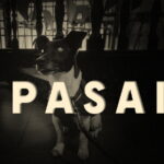 Pasaia. Avant-garde horror film