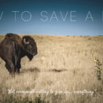How to Save a Life. Short documentary